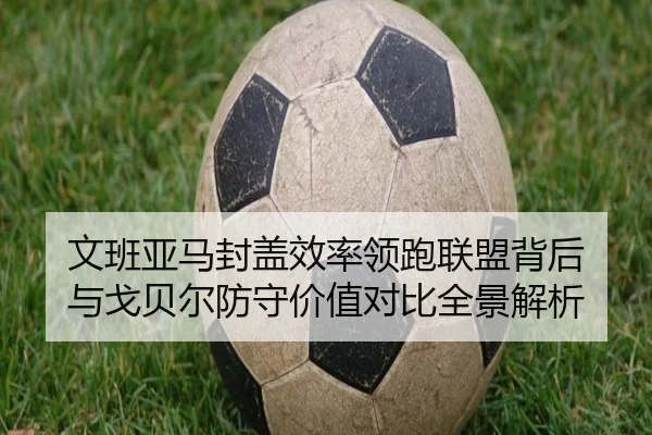 文班亚马封盖效率领跑联盟背后 与戈贝尔防守价值对比全景解析