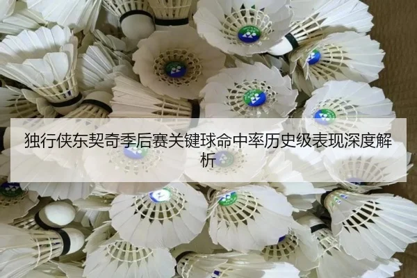 独行侠东契奇季后赛关键球命中率历史级表现深度解析