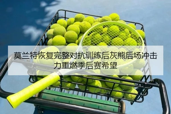莫兰特恢复完整对抗训练后灰熊后场冲击力重燃季后赛希望
